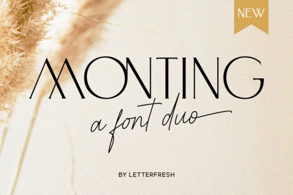 Monting Duo: The Elegant Font Pairing for Modern Creators